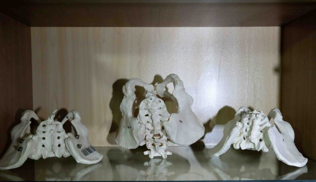 استخوان لگن