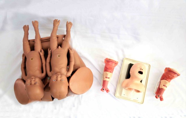 مولاژ نیم تنه زایمان