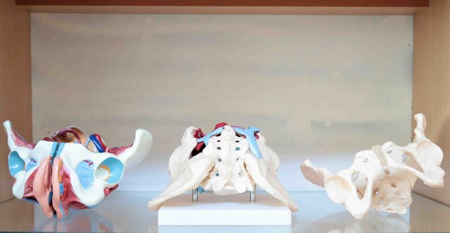 مولاژهای لگن بارداری